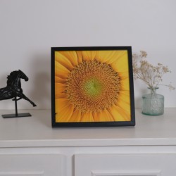 Fleur Jaune - Photographie d'art macro fleur jaune lumineux - Cédric Mignot - Oeuvre encadrée