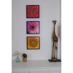 Fleur Jaune - Photographie d'art macro fleur jaune lumineux - Cédric Mignot - Oeuvre en triptyque