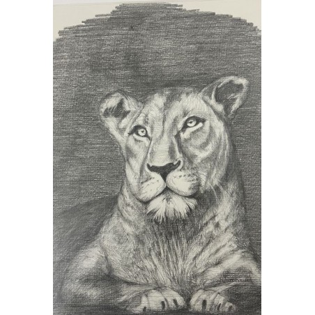Lionne au repos - Dessin original crayon graphite - Lionne allongée calme - Laurence Viarnaud - Galerie FenêtreSurArtistes