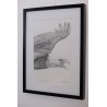 Aigle - Dessin original crayon graphite - Portrait animalier aigle rapace - Laurence Viarnaud - Vue de profil