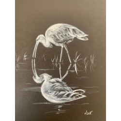 Reflet d'Ibis - Peinture animalière ibis oiseau - Guache - Laurence Viarnaud - Galerie FenêtreSurArtistes