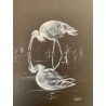 Reflet d'Ibis - Peinture animalière ibis oiseau - Guache - Laurence Viarnaud - Galerie FenêtreSurArtistes