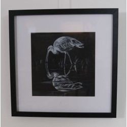 Reflet d'Ibis - Peinture animalière ibis oiseau - Guache - Laurence Viarnaud - encadrée