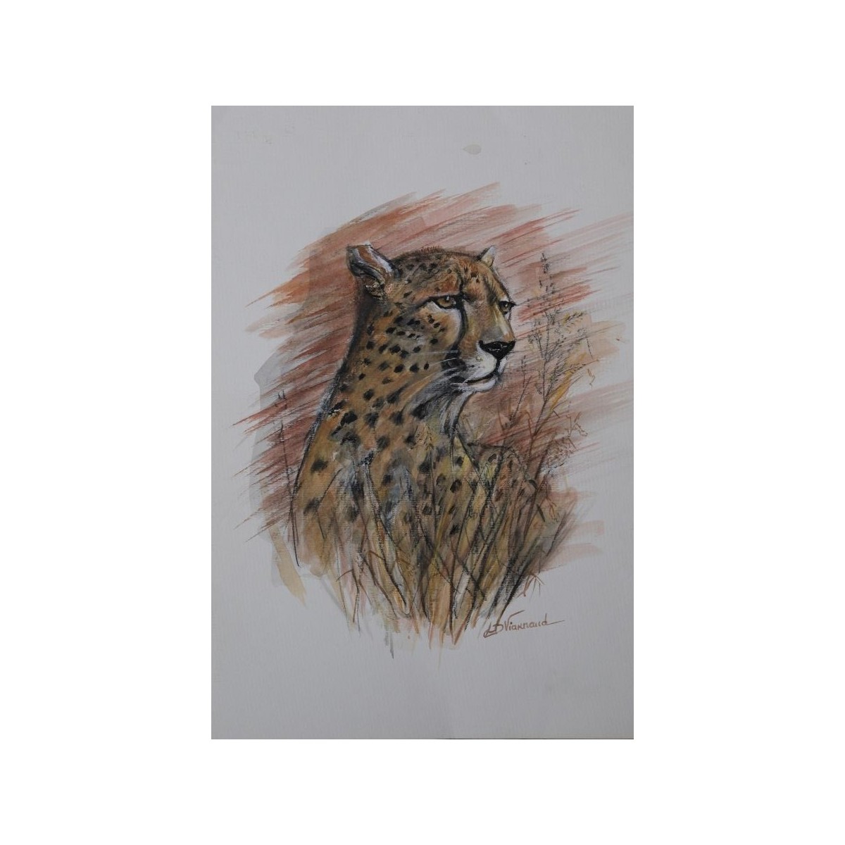 Guépard - Peinture animalière guépard savane - Aquarelle - Laurence Viarnaud - Galerie FenêtreSurArtistes