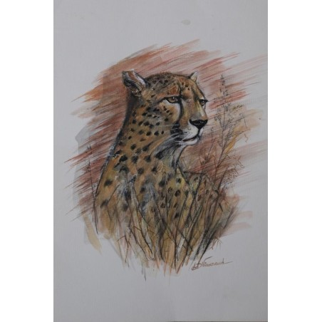 Guépard - Peinture animalière guépard savane - Aquarelle - Laurence Viarnaud - Galerie FenêtreSurArtistes