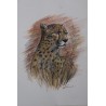Guépard - Peinture animalière guépard savane - Aquarelle - Laurence Viarnaud - Galerie FenêtreSurArtistes