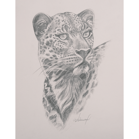 Instinct - Dessin original - Animal sauvage regard intense - Laurence Viarnaud - Galerie FenêtreSurArtistes