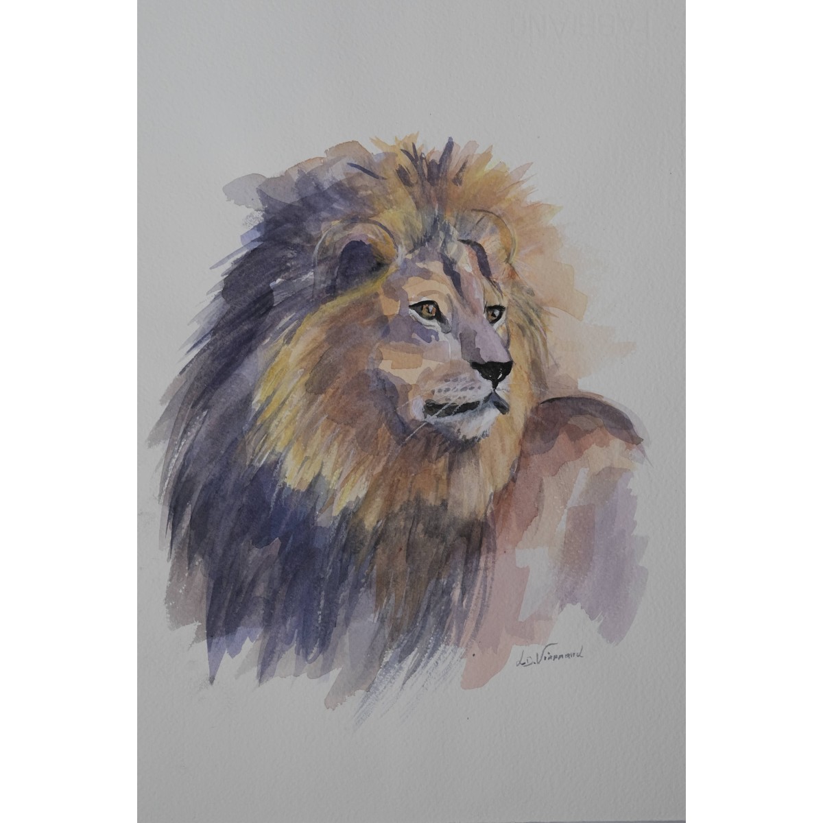 Leo - Peinture animalière lion - Aquarelle contemporaine - Laurence Viarnaud - Galerie FenêtreSurArtistes