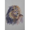 Leo - Peinture animalière lion - Aquarelle contemporaine - Laurence Viarnaud - Galerie FenêtreSurArtistes
