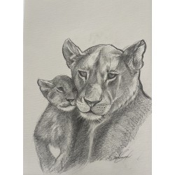 Lionne au repos - Dessin original crayon graphite - Lionne allongée calme - Laurence Viarnaud - Galerie FenêtreSurArtistes