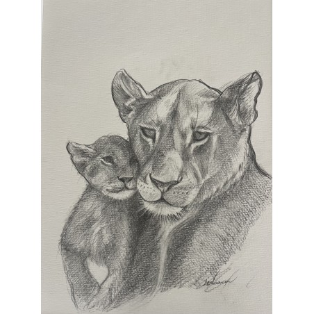 Lionne au repos - Dessin original crayon graphite - Lionne allongée calme - Laurence Viarnaud - Galerie FenêtreSurArtistes