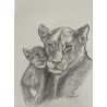 Lionne au repos - Dessin original crayon graphite - Lionne allongée calme - Laurence Viarnaud - Galerie FenêtreSurArtistes