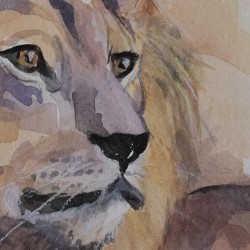Lion bleu - Peinture animalière aquarelle bleue - Laurence Viarnaud - Détails du regard