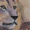 Lion bleu - Peinture animalière aquarelle bleue - Laurence Viarnaud - Détails du regard