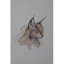 "Lynx observateur" aquarelle de Laurence Viarnaud | Galerie Fenêtresurartistes