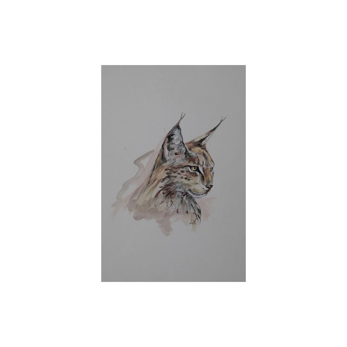 "Lynx observateur" aquarelle de Laurence Viarnaud | Galerie Fenêtresurartistes