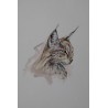 "Lynx observateur" aquarelle de Laurence Viarnaud | Galerie Fenêtresurartistes