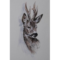 Chevreuil - Peinture animalière chevreuil forêt - Aquarelle - Laurence Viarnaud - Galerie FenêtreSurArtistes
