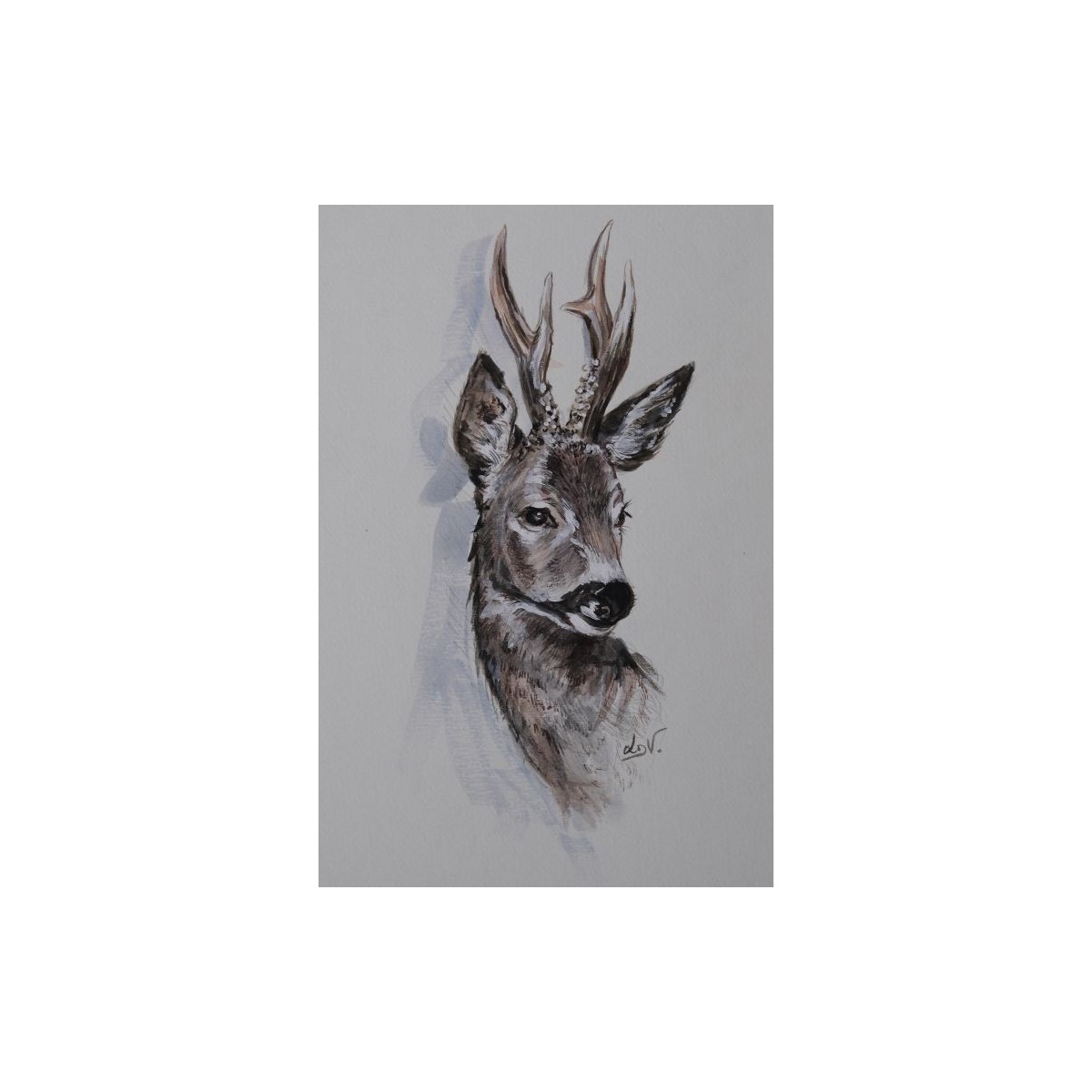 Chevreuil - Peinture animalière chevreuil forêt - Aquarelle - Laurence Viarnaud - Galerie FenêtreSurArtistes
