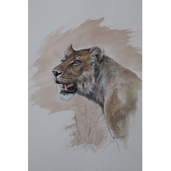 Lionne en chasse - Peinture animalière aquarelle - Laurence Viarnaud - Galerie FenêtreSurArtistes