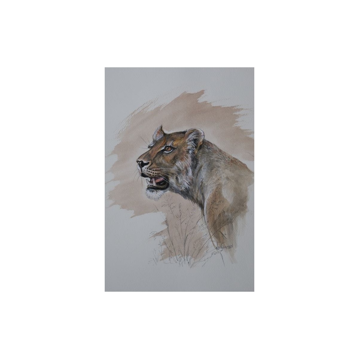 Lionne en chasse - Peinture animalière aquarelle - Laurence Viarnaud - Galerie FenêtreSurArtistes