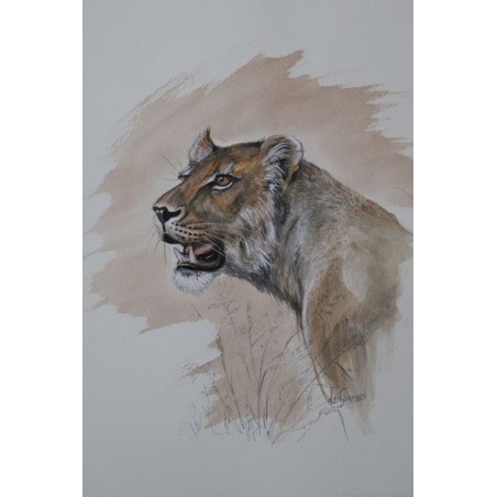 Lionne en chasse - Peinture animalière aquarelle - Laurence Viarnaud - Galerie FenêtreSurArtistes