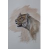 Lionne en chasse - Peinture animalière aquarelle - Laurence Viarnaud - Galerie FenêtreSurArtistes