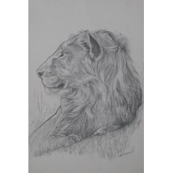 Lion de profil - Dessin original crayon graphite - Portrait animalier lion - Laurence Viarnaud - Galerie FenêtreSurArtistes