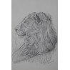 Lion de profil - Dessin original crayon graphite - Portrait animalier lion - Laurence Viarnaud - Galerie FenêtreSurArtistes