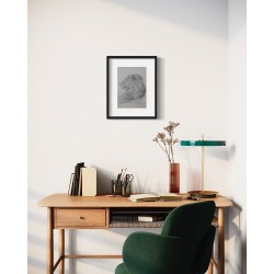 Lion de profil un dessin de Laurence Viarnaud / Galerie Fenêtresurartistes