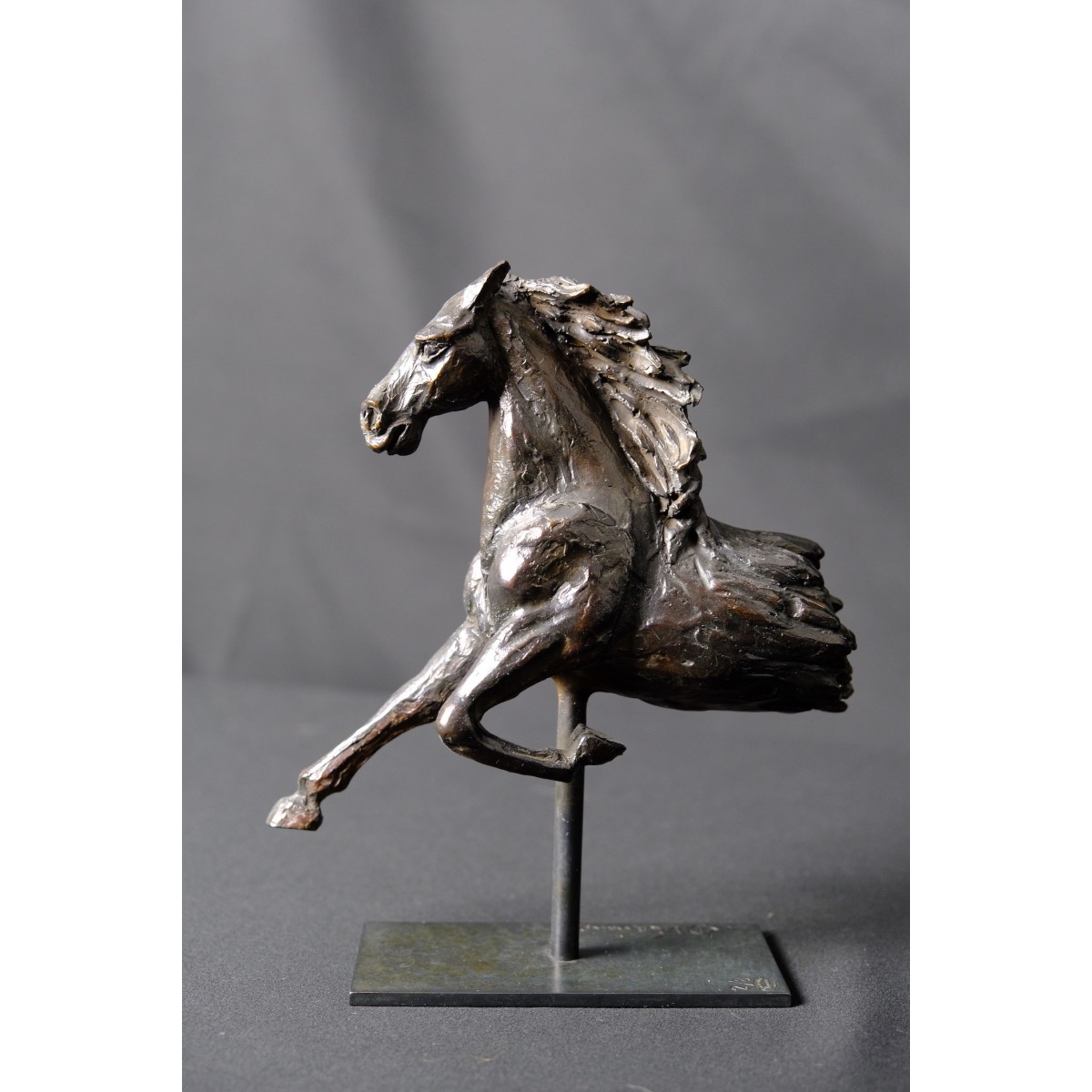 Cheval au trot - Sculpture en bronze contemporaine - Cheval en mouvement - Laurence Viarnaud - Galerie FenêtreSurArtistes