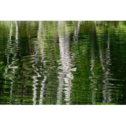 Ondes vertes - Photographie d'art abstrait eau reflet vert - Cédric Mignot - Galerie FenêtreSurArtistes