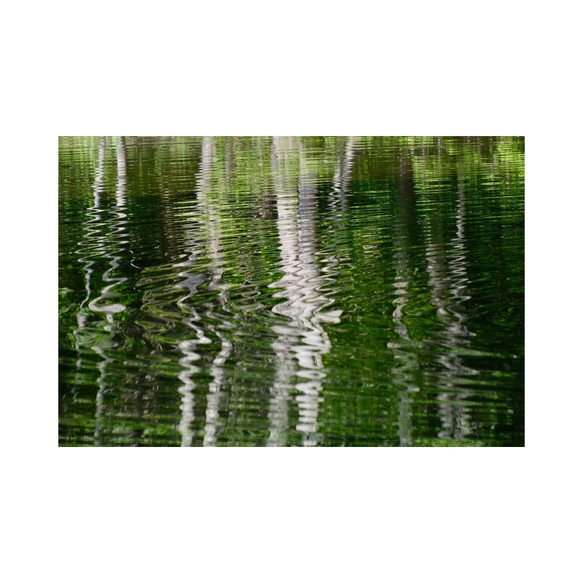Ondes vertes - Photographie d'art abstrait eau reflet vert - Cédric Mignot - Galerie FenêtreSurArtistes