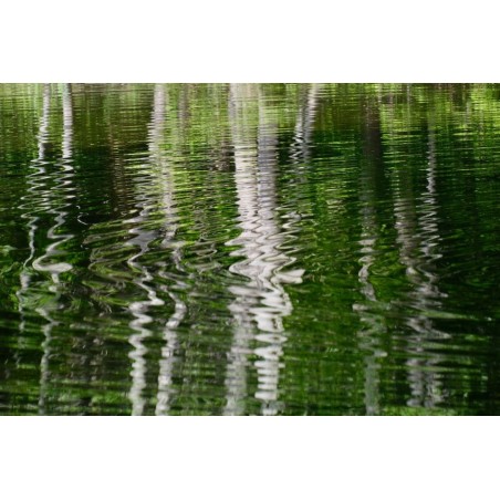 Ondes vertes - Photographie d'art abstrait eau reflet vert - Cédric Mignot - Galerie FenêtreSurArtistes