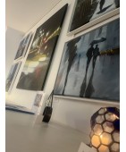 Expositions
